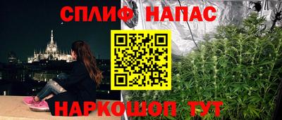 гашик Гатчина