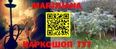 гашик Гатчина
