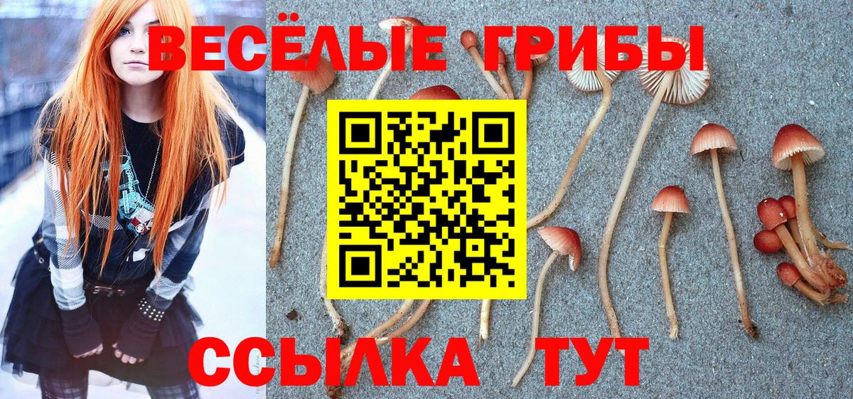 Псилоцибиновые грибы прущие грибы  Галлюциногенные грибы Psilocybine cubensis  Вход с VPN  Нефтекумск 