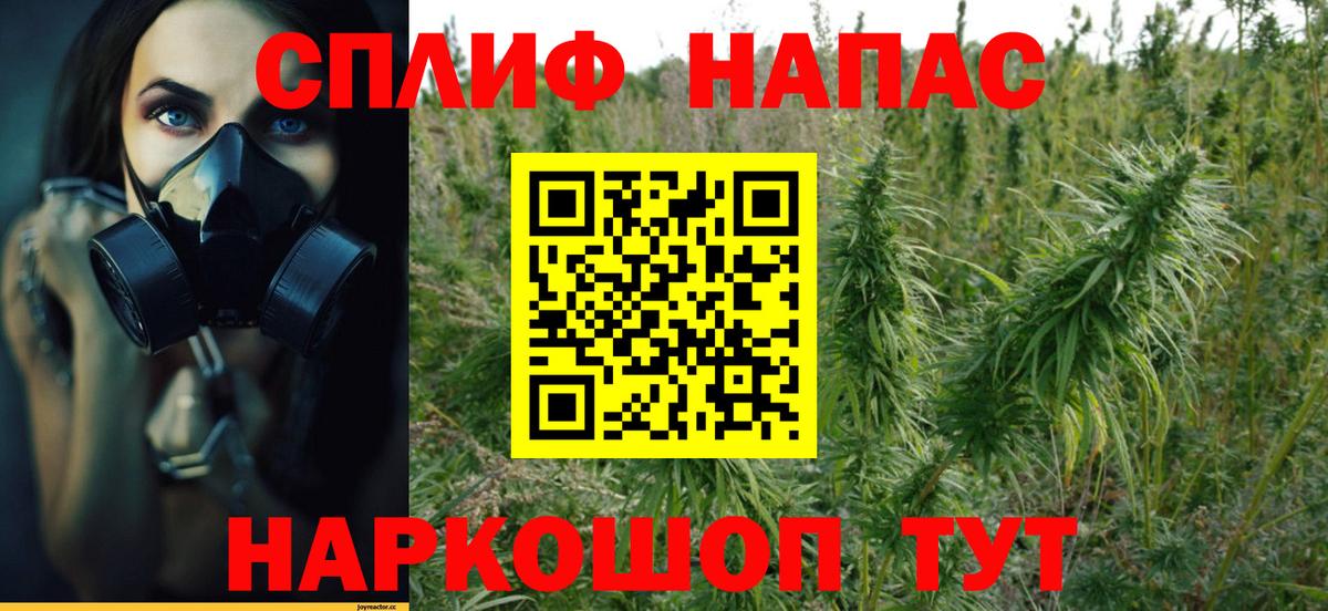 Канабис гибрид Нефтекумск
